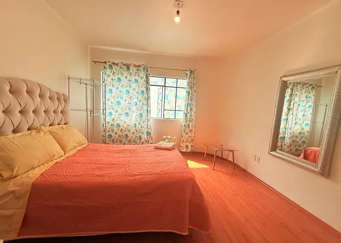 Bears House Condesa-roma Norte